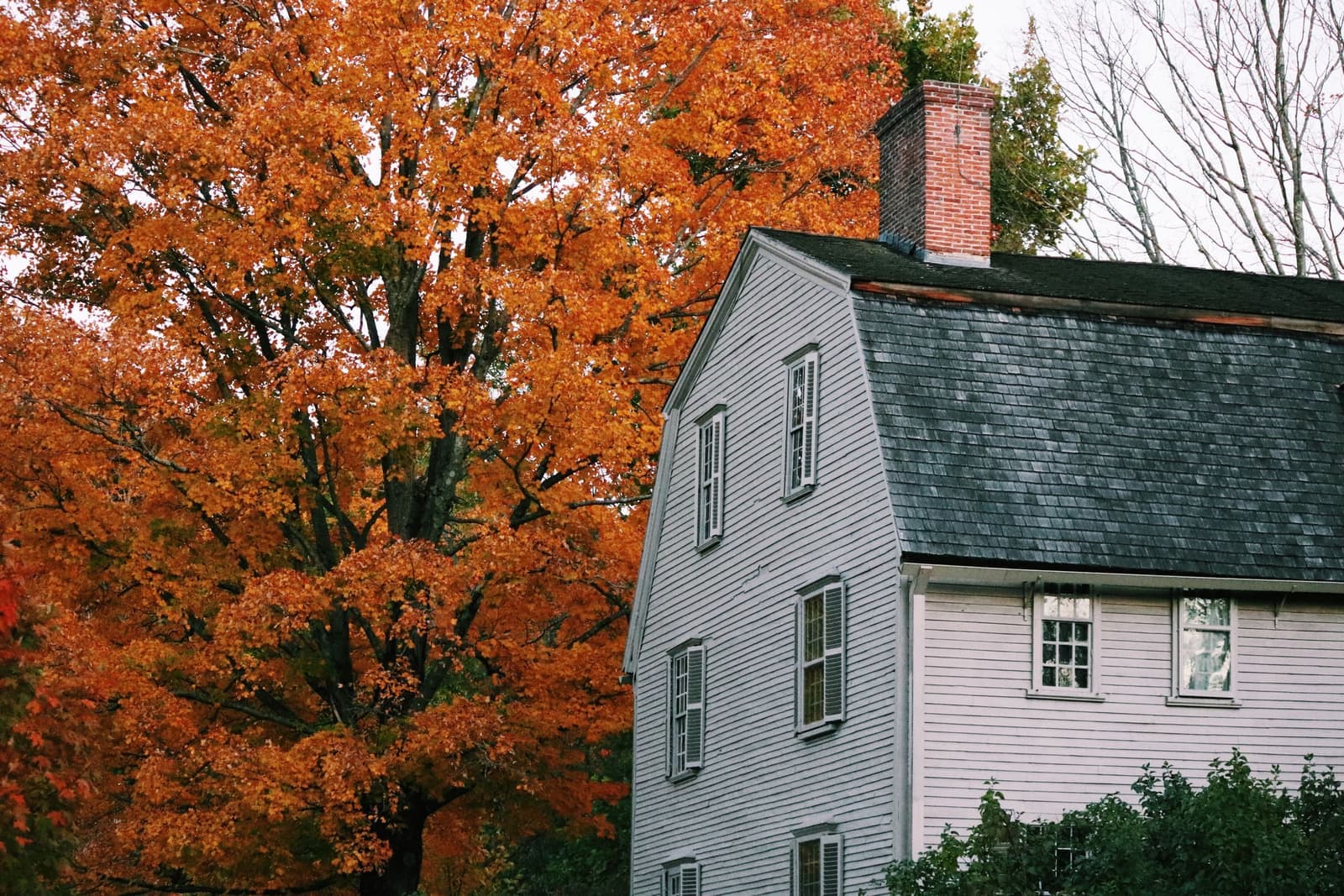 Grey colonial house beside an orange autumn maple, the kind of home movers in North Providence, RI handle every week